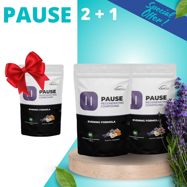 2 + 1 Pause Set current flavour